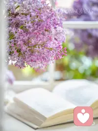 读书，是一个人最好的修行
读书，是一场灵魂的远行。翻开书页，仿佛推开尘封的门，走进另一个世界。文字如清泉，洗去浮躁与喧嚣；思想如星辰，照亮内心的幽暗。在书中，我们遇见智者，对话先贤，也照见自己。
·
阅读，是静默中的成长。无需言语，不必迎合，只需沉浸。在字里行间，我们学会思考，懂得悲悯，也学会与自己相处。每一本书，都是一段旅程，一次蜕变。
·
读书，是孤独中最温柔的陪伴。它不喧哗，却深沉；不张扬，却有力。在纷繁世界里，唯有书香，能让人沉静、丰盈、坚定。读书，是一个人最好的修行。配图