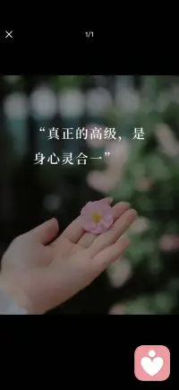 真正的高级 是身心灵合一配图