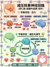 科学研究也一致显示：
冥想，尤其是正念冥想，对减压有显著效果。
无论是健康人、亚健康人群，甚至是临床患者， 包括抑郁症、癫痫、心脏病患者，以及各种慢性疼痛人群：
👉 在练习正念之后：
• 压力下降
• 焦虑下降
• 抑郁下降
• 心理困扰减少
同时：
• 情绪调节能力增强
• 注意力更加集中
最令人惊讶的是： 👉 正念训练的效果，甚至可以达到与抗焦虑药物相当的水平
🧠 神经科学机制
正念之所以能减压，是因为它调节了三大核心系统：
1️⃣ 降低威胁系统
• 杏仁核反应下降（stress reactivity ↓）
2️⃣ 增强调节系统
• 前额叶皮层（PFC）控制能力增强
3️⃣ 改变生理状态
• 皮质醇下降
• 心率下降
👉 本质是： 让大脑不再过度反应压力
🔑结论
👉 压力越大，越需要冥想 👉 每天10分钟，就可以产生效果
🧘‍♀️ 今日练习（5–10分钟）
找到一个舒适的姿势（坐或站都可以） 闭上眼睛
把注意力放在「听」上：
• 听环境的声音
• 如果可以，也听身体的声音（心跳、肠胃蠕动等）
当你走神时： 👉 轻轻把注意力带回来
一次，又一次
持续5–10分钟即可配图