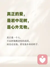 看见本来的样子配图
