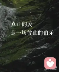 真正的爱是一场彼此的伯乐配图