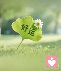 人生态度决定生活高度配图