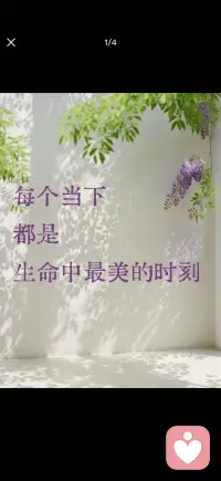 每个当下都是生命中最美的时刻配图