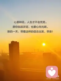 心向光明配图