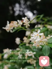 亲子教育里，疗愈自己，是给孩子最好的礼物配图