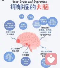 抑郁者的大脑配图