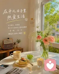 在平凡的日子里热爱生活配图