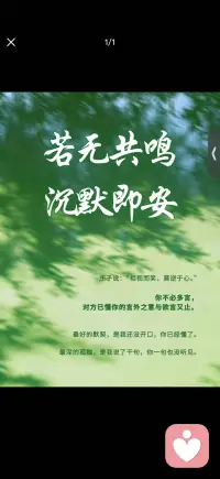 若无共鸣
沉默即安配图