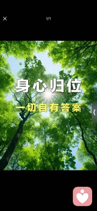 身心归位配图