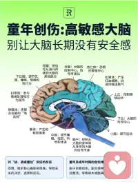 早期创伤对副交感神经系统的影响是深远的，它可以导致个体在面对新威胁时过度反应并陷入麻木状态。
 
然而，通过正确的治疗方法，创伤幸存者可以逐步恢复神经系统的平衡，并重新获得生活的安全感和自我控制感。理解这些机制对于有效治疗创伤具有重要意义。配图