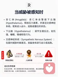 早期创伤对副交感神经系统的影响是深远的，它可以导致个体在面对新威胁时过度反应并陷入麻木状态。
 
然而，通过正确的治疗方法，创伤幸存者可以逐步恢复神经系统的平衡，并重新获得生活的安全感和自我控制感。理解这些机制对于有效治疗创伤具有重要意义。配图