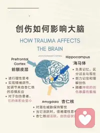 创伤会导致大脑结构变化
为什么创伤导致大脑结构变化？
由于前额皮层、海马体和杏仁核等多个关键区域的变化，创伤在我们的大脑中，逐渐从恐惧演变成创伤
1️⃣前额皮质
前额皮质的体积会减少
2️⃣海马体
长期的创伤暴露会导致海马体的萎缩
3️⃣杏仁核
当个体遭受创伤时，杏仁核的活动会显著增强。
前额皮质体积减少，会导致情绪调节能力的下降，使得创伤后个体更容易出现焦虑、抑郁等情绪问题。
而海马体大家都知道跟我们的记忆息息相关，这种萎缩不仅会影响记忆力，还会导致创伤后应激障碍（PTSD）的发生。PTSD患者常常难以将创伤事件归档，反复重现创伤记忆，从而陷入持续的心理困扰。
杏仁核过度活跃会导致个体在面对无害刺激时也会产生强烈的恐惧和焦虑反应，进一步加剧创伤后应激障碍的症状。配图
