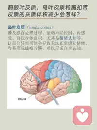 创伤会导致大脑结构变化
为什么创伤导致大脑结构变化？
由于前额皮层、海马体和杏仁核等多个关键区域的变化，创伤在我们的大脑中，逐渐从恐惧演变成创伤
1️⃣前额皮质
前额皮质的体积会减少
2️⃣海马体
长期的创伤暴露会导致海马体的萎缩
3️⃣杏仁核
当个体遭受创伤时，杏仁核的活动会显著增强。
前额皮质体积减少，会导致情绪调节能力的下降，使得创伤后个体更容易出现焦虑、抑郁等情绪问题。
而海马体大家都知道跟我们的记忆息息相关，这种萎缩不仅会影响记忆力，还会导致创伤后应激障碍（PTSD）的发生。PTSD患者常常难以将创伤事件归档，反复重现创伤记忆，从而陷入持续的心理困扰。
杏仁核过度活跃会导致个体在面对无害刺激时也会产生强烈的恐惧和焦虑反应，进一步加剧创伤后应激障碍的症状。配图
