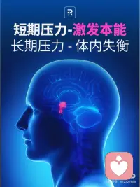 短期压力使人进步，长期压力使人抑郁的本质
1️⃣ 我们经常听长辈说，人不能躺平，需要有点压力，人才能进步！或许很多人都被这个道理教育过，但是这个道理的科学依据是什么呢？这其实来自于我们人类最原始的动物本能。
 
2️⃣ 在远古时期，我们还是个猿人，要在这个危险的丛林中生存，我们进化出了一套“战斗和逃跑”机制；这个机制能让我们在遇到危险时快速反应，不用经过大脑的思考，就进入保命的状态。这使得我们在遇到危险时，能够提升生存机率。比如：我们看到蛇，我们大脑会瞬间被劫持，这种吓一跳，让我们本能的跑跳逃离。
 
3️⃣ 在现代社会，没有了原始社会的各种生存危险，但是我们大脑的这种机制得以保留；比如：当我们面临失业时、学业、家庭、婚姻等等方面出现问题时，我们会感觉生活失去了掌控，这种危险的感觉会触发我们大脑的”原始机制“。所以我们会产生压力感；这种压力感，让我们主动的去努力克服困难。让问题得到解决。
 
但是如果我们长期处于这种压力之下，我们身体长期激素就会过高，就会导致体内激素失衡，最终产生绝望感，我们就会感到抑郁、无力，对生活失去希望。这就是慢性压力的带来的负面后果。
 
4️⃣ 所以我们才会说，压力要适当，不易过大；适当的压力，带来的体内激素的短期攀升，能激发我们的战斗欲望，更有动力去面对困难和解决困难。配图