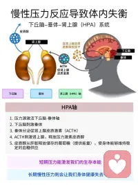 短期压力使人进步，长期压力使人抑郁的本质
1️⃣ 我们经常听长辈说，人不能躺平，需要有点压力，人才能进步！或许很多人都被这个道理教育过，但是这个道理的科学依据是什么呢？这其实来自于我们人类最原始的动物本能。
 
2️⃣ 在远古时期，我们还是个猿人，要在这个危险的丛林中生存，我们进化出了一套“战斗和逃跑”机制；这个机制能让我们在遇到危险时快速反应，不用经过大脑的思考，就进入保命的状态。这使得我们在遇到危险时，能够提升生存机率。比如：我们看到蛇，我们大脑会瞬间被劫持，这种吓一跳，让我们本能的跑跳逃离。
 
3️⃣ 在现代社会，没有了原始社会的各种生存危险，但是我们大脑的这种机制得以保留；比如：当我们面临失业时、学业、家庭、婚姻等等方面出现问题时，我们会感觉生活失去了掌控，这种危险的感觉会触发我们大脑的”原始机制“。所以我们会产生压力感；这种压力感，让我们主动的去努力克服困难。让问题得到解决。
 
但是如果我们长期处于这种压力之下，我们身体长期激素就会过高，就会导致体内激素失衡，最终产生绝望感，我们就会感到抑郁、无力，对生活失去希望。这就是慢性压力的带来的负面后果。
 
4️⃣ 所以我们才会说，压力要适当，不易过大；适当的压力，带来的体内激素的短期攀升，能激发我们的战斗欲望，更有动力去面对困难和解决困难。配图