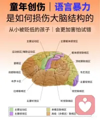 童年创伤是如何损害大脑的？配图