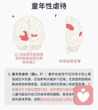 童年创伤是如何损害大脑的？配图