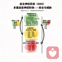创伤不在过去，而在你的神经系统里
创伤不在过去，而在你的神经系统里
创伤的本质，是神经系统的失调，而非事件本身。
当神经系统长期处于高唤醒状态，我们的身体就会出现各种“查无实据”的症状，这不是矫情，是身体发出的求救信号。
“心理创伤症状并不是由某事件本身引起的。其之所以产生，是因为某段经历所残余的能量还没有被身体释放。这种能量被困在神经系统中，对我们的身体和心灵造成破坏。”
——彼得·莱文 Peter Levine
我们一生中总免不了会遇到创伤，不管是自己的或身边的亲友。
生活中许多事件，从幼童的跌倒、受惊吓，意外事件的伤害，到受霸凌或侵犯，以及遭遇生死离别或自然灾害，都有可能形成创伤以及相关身心症状。
 
创伤会让神经系统失去灵活切换的能力：
✅ 神经感知失灵
错误的神经感知，无意识安全探测器被创伤改写，把中性信号当成威胁信号
✅ 腹侧迷走神经被长期抑制
无法进入安全、连接、放松状态
✅ 交感长期亢进
持续“战斗/逃跑”→失眠、焦虑、过度警觉、躯体紧张
✅ 背侧迷走被劫持
威胁解除后仍冻结→麻木、解离、疲劳、消化/免疫问题
✅ 在交感与背侧间震荡
一会儿极度焦虑，一会儿麻木/瘫软
 
创伤不会随着时间消失，它会被神经系统储存。
创伤的疗愈，不是“忘掉过去”，而是重新调节我们的自主神经系统，完成未完成防御反应，释放残存在身体创伤里能量。让它从“威胁模式”，回到“安全模式”。配图