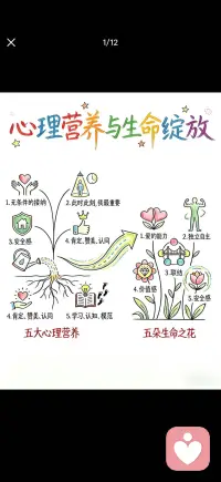 心理营养与生命绽放配图