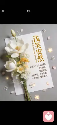 浅笑安然配图