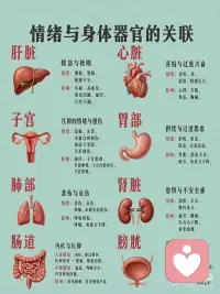 情绪与身体器官的关联
1. 愤怒，是身体在“备战”
一生气就头痛、血压飙？那是交感神经拉响了警报，血管收缩、心跳加快，你整个人进入了“战斗状态”。不是你脾气差，是你一直在心里打仗。
 
2. 情绪起伏大，心脏最遭罪
强烈的悲伤、惊喜、恐惧，都会直接改变心率。极端时甚至会出现“心碎综合征”——不是比喻，是真的心脏疼。你的心，比你想的更敏感。
 
3. 焦虑，先从胃开始抗议
大脑和胃肠道之间有一条“肠脑轴”。你一焦虑，胃酸乱流、蠕动失调。不是吃坏了，是“想太多”真的伤胃。
 
4. 长期压抑，肠道第一个反叛
你把委屈咽下去，肠道菌群先不高兴。菌群一变，情绪更差。越憋屈，越堵；越堵，越憋屈。这是个死循环。
 
5. 难过的时候，肺也会偷懒
悲伤让你的呼吸变浅、变慢，氧气进不来，整个人就像被抽空了一样。不是你没力气，是你的肺在陪你一起哭。
 
6. 长期焦虑，身体像手机开了所有后台
恐惧和不安全感会让压力激素（皮质醇）持续分泌，身体一直处于“耗电模式”。你不是懒，是系统真的快没电了。
 
7. 压力一大，月经就乱
焦虑、压抑会打乱激素节律。月经提前、推后、甚至不来，都可能是情绪在调控。你的激素，不是只吃药才能调。
 
8. 一紧张就想上厕所
交感神经过度兴奋，会让膀胱变得格外敏感。考试前、面试前、开会前，不是你的肾不行，是你的神经太紧张。
 
最后只说一句：
不是“某种情绪专攻某个器官”，
而是长期情绪压力，在缓慢消耗你的整个系统。
 
所以别光盯着“哪里疼”，
真正要做的就三件事：
睡好觉、动起来、给情绪一个出口。配图