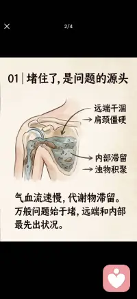 情绪决定了气血的开关配图