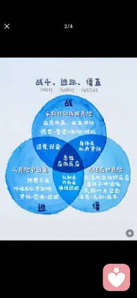 你的创伤你的身体从未忘记配图