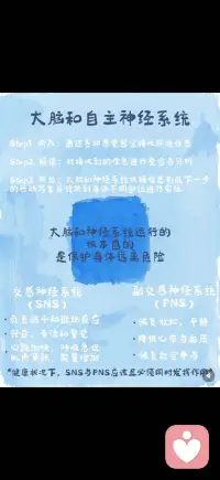 你的创伤你的身体从未忘记配图
