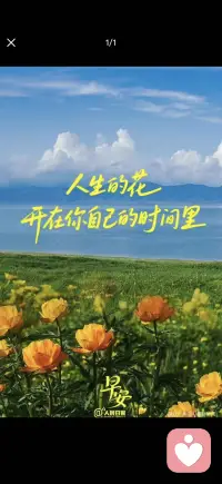 人生如花，开在你自己的时间里
有的花在初春盛放，有的花在暮春吐蕊。人生从不是统一标准的赛场，不要看见别人绽放就觉得自己黯淡无光。#你可以是一朵晚开的花#，也可以做一株坚韧挺拔的小草。新的一天，不慌不忙，尽兴去闯，按自己的节奏活出喜欢的模样。配图