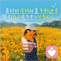 不断进步配图