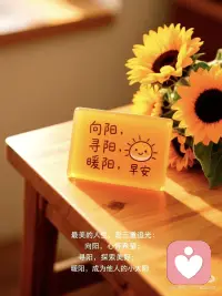 向阳 寻阳 暖阳配图
