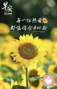 每一份热爱都值得全力以赴配图