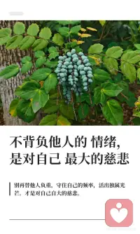 不背负他人的情绪 是对自己最大的慈悲配图