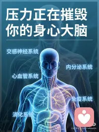 健康科普｜压力如何摧毁你的身心大脑
🔍 什么是压力？
压力生理学上称为应激反应，是人体面对外界刺激、心理负荷时启动的自我防御机制。人体依靠HPA轴分泌皮质醇、肾上腺素，调动身体能量应对危机。适度良性压力可提升专注力与行动力，但日常的焦虑、内耗、疲惫等劣性压力，会持续损伤身心，主要分为急性与慢性两类。
 
⚡ 短期急性压力：临时应急、可逆恢复
急性压力是突发、短暂的刺激，如临场紧张、临时紧急工作等，属于正常生理保护机制，无长期伤害。身体会快速调动机能：心跳加快、血压升高、肌肉紧绷、血糖上升，肠胃蠕动暂时放缓，全身心进入备战状态。同时大脑活跃度提升，专注力、反应力短暂增强。压力消失后，激素快速回落，身心可完全恢复，无后遗症。
 
🕳️ 长期慢性压力：不可逆的身心损耗
长期职场内卷、情绪内耗、持续焦虑等数月甚至数年的慢性压力，会让HPA轴持续亢奋，皮质醇居高不下，造成身体与大脑的实质性损伤，大多难以修复。
 
身体损伤：代谢紊乱引发压力肥、脱发、爆痘、早衰、月经不调；肠胃神经敏感，易诱发胃炎、肠易激综合征，反复腹胀腹泻；免疫力持续下降，频繁感冒过敏；血管长期收缩，引发心慌心悸，埋下心血管隐患；昼夜节律紊乱，导致顽固性失眠、越熬越焦虑。
 
大脑损伤：高皮质醇会损伤大脑结构，造成不可逆影响。海马体神经元受损萎缩，导致记忆力、理解力大幅下降；杏仁核异常活跃，让人敏感易怒、情绪内耗、极易崩溃；前额叶皮层功能退化，出现专注力缺失、自控力变差、思绪混乱、做事拖延等问题。配图