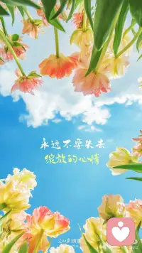 永远不要失去绽放的心情配图