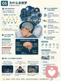 1.睡眠是如何发生的
我们每天都会睡觉，但很少真正理解：
困意是怎么来的？
为什么有时明明很累却睡不着？
梦为什么会出现？
一夜睡眠里，大脑和身体到底在做什么？
这组图把睡眠拆成一条完整链路：
🌙 01 睡眠是如何发生的
从生物钟、睡眠压力、褪黑素、腺苷，到入睡、深睡和做梦。
⏰ 02 睡意从哪里来
睡意主要来自三股力量：
睡眠压力逐渐累积，昼夜节律发出信号，身体状态慢慢切换。
🧠 03 一夜睡了什么
睡眠不是一整晚都一样，而是由 N1、N2、N3、REM 多个阶段循环组成。
深睡更多负责身体恢复，REM 更多参与记忆、情绪和梦境。
🔧 04 大脑怎样让你睡着
下丘脑、SCN、生物钟、GABA、腺苷、褪黑素等系统一起协作，帮大脑从清醒模式切换到睡眠模式。
🌌 05 为什么会做梦
梦常出现在 REM 阶段，但非 REM 阶段也可能做梦。
梦和记忆整理、情绪加工、压力释放都有关系。
🧩 06 睡眠在修复什么
睡着以后，大脑并没有停机。
它在巩固记忆、清除代谢废物、调节情绪、修复身体、整理神经连接。
⚠️ 07 什么会偷走睡眠
光照、屏幕蓝光、咖啡因、酒精、压力、作息混乱、噪音、温度、久坐少动，都会影响入睡和深睡质量。
👶 08 不同年龄要睡多久
新生儿、儿童、青少年、成年人和老年人的睡眠需求都不一样。
睡得够不够，不只看时长，也要看白天状态、夜间醒来次数和恢复感。
看完这组图你会发现：
睡眠不是浪费时间，
而是大脑和身体每天都必须完成的一次系统维护。
睡得好，才有更稳定的情绪、更清晰的注意力、更好的记忆和更强的恢复力。配图