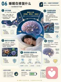 1.睡眠是如何发生的
我们每天都会睡觉，但很少真正理解：
困意是怎么来的？
为什么有时明明很累却睡不着？
梦为什么会出现？
一夜睡眠里，大脑和身体到底在做什么？
这组图把睡眠拆成一条完整链路：
🌙 01 睡眠是如何发生的
从生物钟、睡眠压力、褪黑素、腺苷，到入睡、深睡和做梦。
⏰ 02 睡意从哪里来
睡意主要来自三股力量：
睡眠压力逐渐累积，昼夜节律发出信号，身体状态慢慢切换。
🧠 03 一夜睡了什么
睡眠不是一整晚都一样，而是由 N1、N2、N3、REM 多个阶段循环组成。
深睡更多负责身体恢复，REM 更多参与记忆、情绪和梦境。
🔧 04 大脑怎样让你睡着
下丘脑、SCN、生物钟、GABA、腺苷、褪黑素等系统一起协作，帮大脑从清醒模式切换到睡眠模式。
🌌 05 为什么会做梦
梦常出现在 REM 阶段，但非 REM 阶段也可能做梦。
梦和记忆整理、情绪加工、压力释放都有关系。
🧩 06 睡眠在修复什么
睡着以后，大脑并没有停机。
它在巩固记忆、清除代谢废物、调节情绪、修复身体、整理神经连接。
⚠️ 07 什么会偷走睡眠
光照、屏幕蓝光、咖啡因、酒精、压力、作息混乱、噪音、温度、久坐少动，都会影响入睡和深睡质量。
👶 08 不同年龄要睡多久
新生儿、儿童、青少年、成年人和老年人的睡眠需求都不一样。
睡得够不够，不只看时长，也要看白天状态、夜间醒来次数和恢复感。
看完这组图你会发现：
睡眠不是浪费时间，
而是大脑和身体每天都必须完成的一次系统维护。
睡得好，才有更稳定的情绪、更清晰的注意力、更好的记忆和更强的恢复力。配图