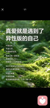 爱的本质是被看见配图