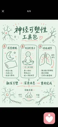 悲伤疗愈的科学配图