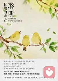 鸟啼声 从焦虑到平静配图