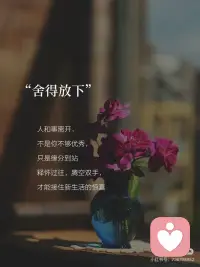 努力去见最高版本的自己✨配图