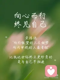 向心而行配图