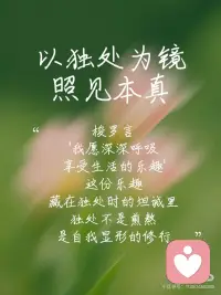 向心而行配图