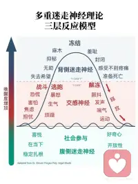 “创伤”与“多重迷走神经”
创伤不只是心里的一个疤，它实实在在重塑着我们的神经运作模式、大脑状态乃至整个身体。
近些年来大家也慢慢意识到创伤带来的深远影响，而创伤的疗愈，根源在于神经系统没能完成的防御反应。
当神经系统长时间一直处在紧绷戒备和麻木冻结的防御模式，情绪起伏、肠胃不适、失眠问题、免疫力变差，还有思维方式、处事习惯，都会跟着出问题。
通常遇到这类问题，哪里不舒服，我们就会去找对应的专业人士。
并不是说不关注症状，而是除了症状之外，我们很少关注自己神经系统本身的调节能力。
只要神经系统一直停留在防御应激的状态，身体原本稳定的平衡就会慢慢被打破。
日积月累的失衡，最后演变成各类长期困扰：像是持续性的躯体疼痛、肠胃不好、夜里难以入眠，或是情绪焦虑低落。
疗愈的关键，不在于消除记忆。
而是在于重建身体的安全感，让神经系统从防御中解套，恢复自我调节的能力。配图