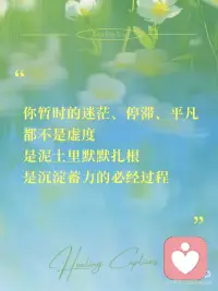 你的花期，不用和任何人同步。配图
