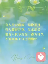 你的花期，不用和任何人同步。配图