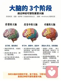 大脑终生可塑配图
