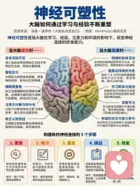 大脑终生可塑配图
