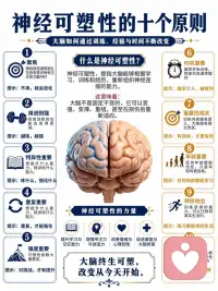 大脑终生可塑配图