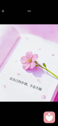 走自己的步调 不急不躁配图